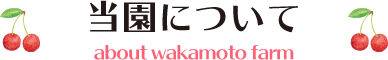 当園について